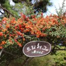 농가월령 | 찬 서리가 내린다는 상강(霜降) 절기(節氣) 이야기.