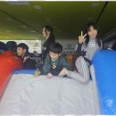 동영태권도 이미지