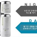 스킨스퀘어드