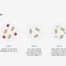더블유빈