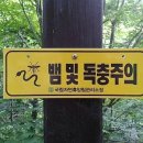지리산자연휴양림 이미지