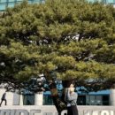삼성생명휴먼센타주 이미지