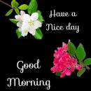 좋은하루 이미지