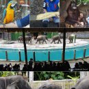 테마호텔 이미지