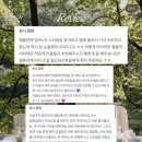 헤어위크 | 대구 웨딩헤어 염색 전문｜유위크헤어 웨딩컬러 패키지 솔직후기 & 퍼스널컨설팅 총정리