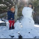 봄이꽃피다 이미지