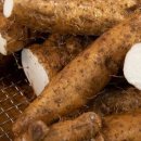 태산농장1 이미지