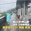 고양이마을 | 대만 허우통 고양이마을 217카페 후기, 비오는 날 택시투어로 다녀온 솔직 리뷰