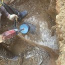 코아&2060 이미지