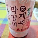 예그리나민박 | 제주도 뚜벅이 여자 혼자 여행 2박3일