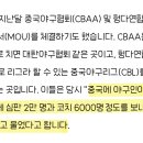 중국에 야구인이 부족한데 심판 2만 명과 코치 6000명 정도를 보내줄수 있느냐 이미지