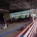 BK승마랜드 이미지