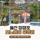 색동수국정원 공중화장실 | 장생포 가볼만한 곳 모노레일 할인 주차 시간표 아이랑 비오는날 찐후기 / 주요 질문정리