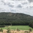 새미다방 이미지