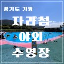 자라섬야외수영장 | 가평 자라섬 야외 수영장 이용 꿀팁 총집합!(음식, 준비물, 가격, 주차, 이용시간..)