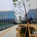고덕로자벨1 이미지