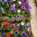 불당라온어린이집 이미지