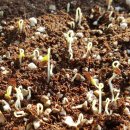 연리지농장 이미지