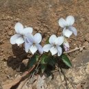 황룡농장 이미지