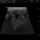 부곡동물병원 이미지