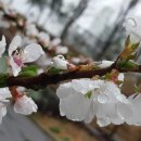수목부동산중개사무소 이미지