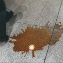 닥터클리닝