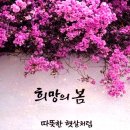 동작충효길 4코스 노량진길 | [동작충효길] 4.5코스ᆢ260319ᆢ노량진길,보라매길 완료