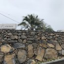 비에노즈 이미지