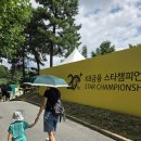 스타갤러리 | 2025 KB금융 스타챔피언십 ⛳️ 아이와 함께한 첫 갤러리 체험 후기
