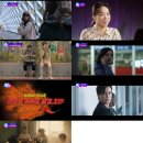 빙그레여행주