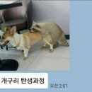 개구리PC방 이미지