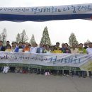 2016 희귀·난치병 어린이 돕기 걷기대회-나눔콘서트 이미지