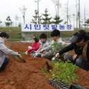 원색명화마을 이미지