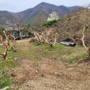 창녕군 부곡면 사창리(총3008평,3억) 이미지