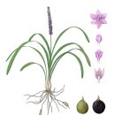 이소영농장 이미지