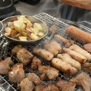 박대박 왕소금구이 | 대구 침산동 삼겹살 맛집 초벌해서 구워주는 박대박왕소금구이 대구침산점 후기🐾