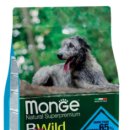 카모션정비센타 이미지