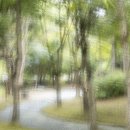 수채화를그리다