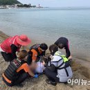 칠포항펜션 이미지