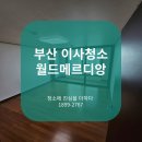 둥지광택 | 부산 월드메르디앙 이사청소 비둘기똥 처리 퇴치망 설치 후기