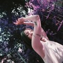 사이로몰