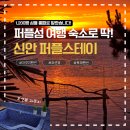 발리감성 전남풀빌라 퍼플스테이 후기｜자쿠지·노을·고양이 다 있는 신안 숙소