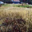 내곡동-1 이미지