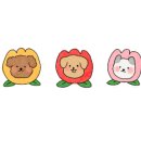 송월영신타올 이미지