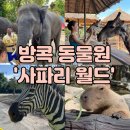 월드트래블 | 방콕 사파리월드 몽키트래블 예약, 입장료, 투어 생생후기