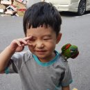 푸르미세탁소 이미지