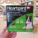 화양종로약국 이미지