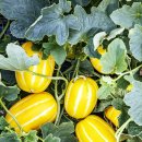 달성정비 이미지