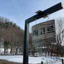 시고르까사 이미지