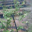 원영농장 이미지